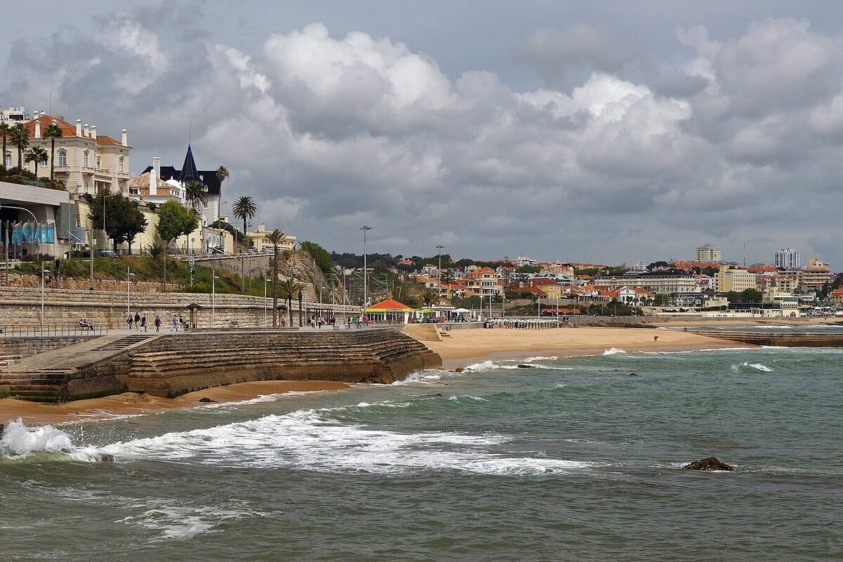 Landscape detail for Lavender in Alentejo