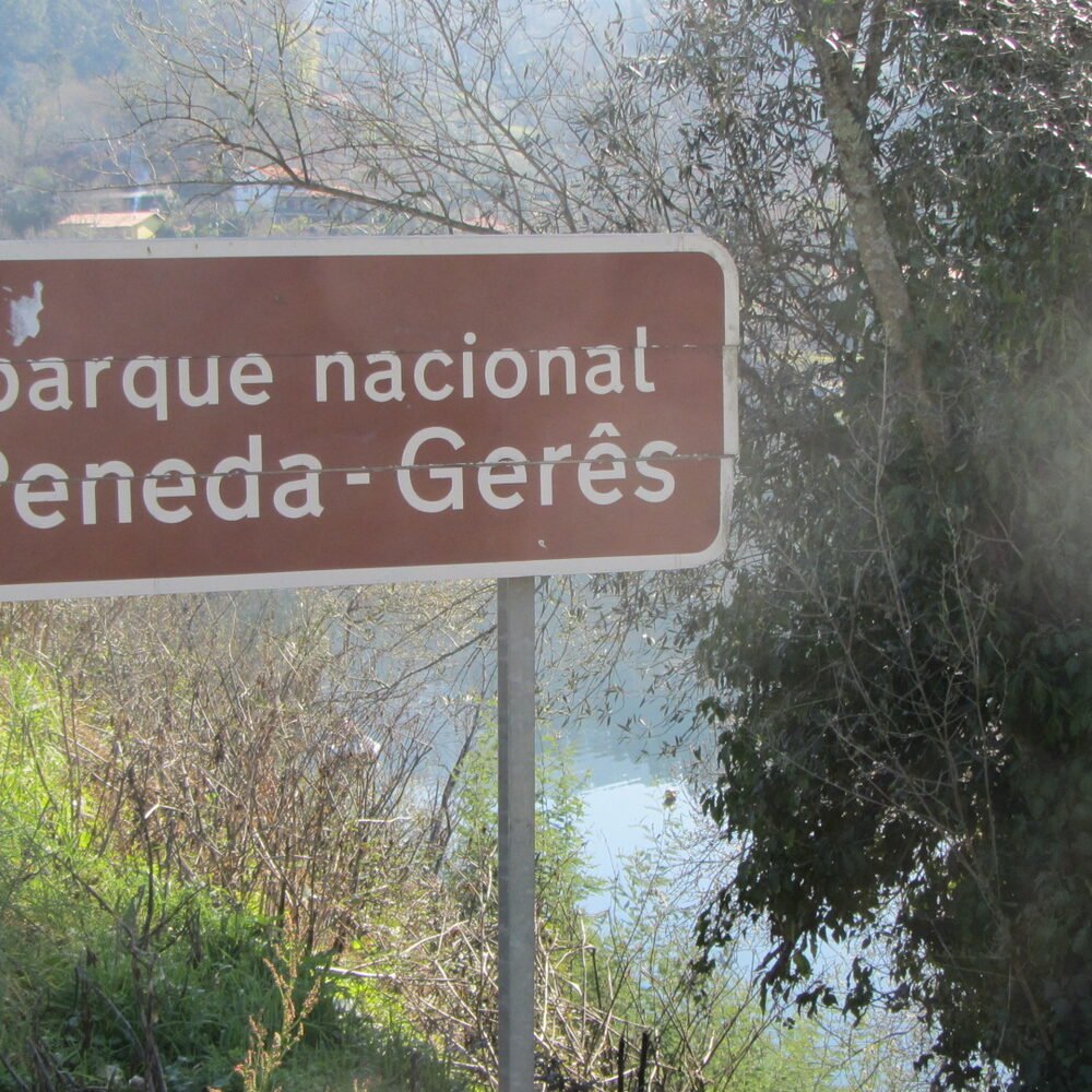 Local detail connected to Belmar Hotel Lagos