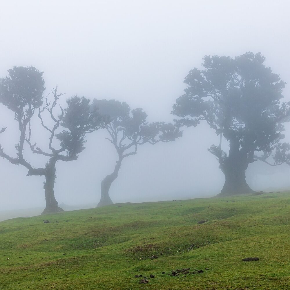 Local detail connected to Caretos