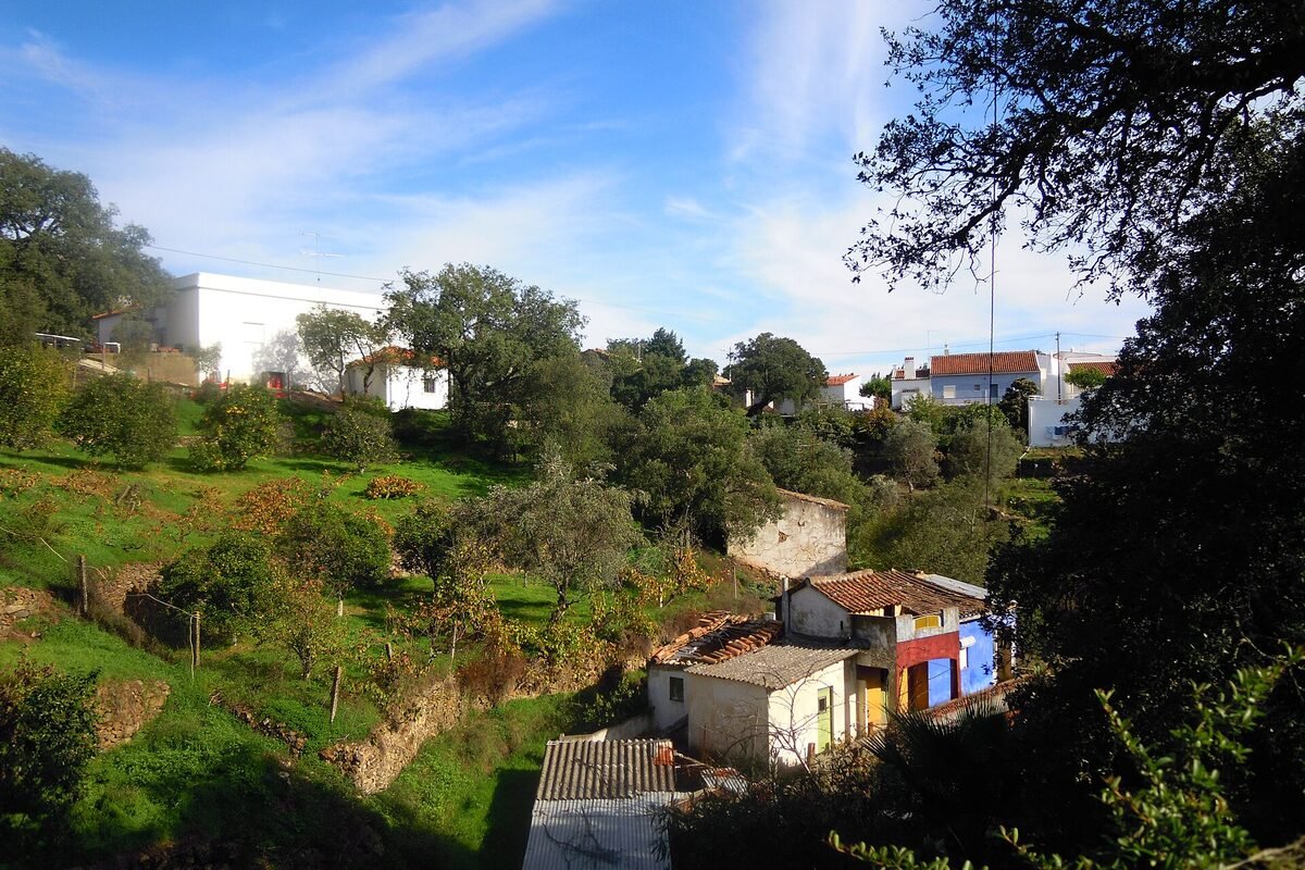 Landscape detail for Portuguese Red Blends