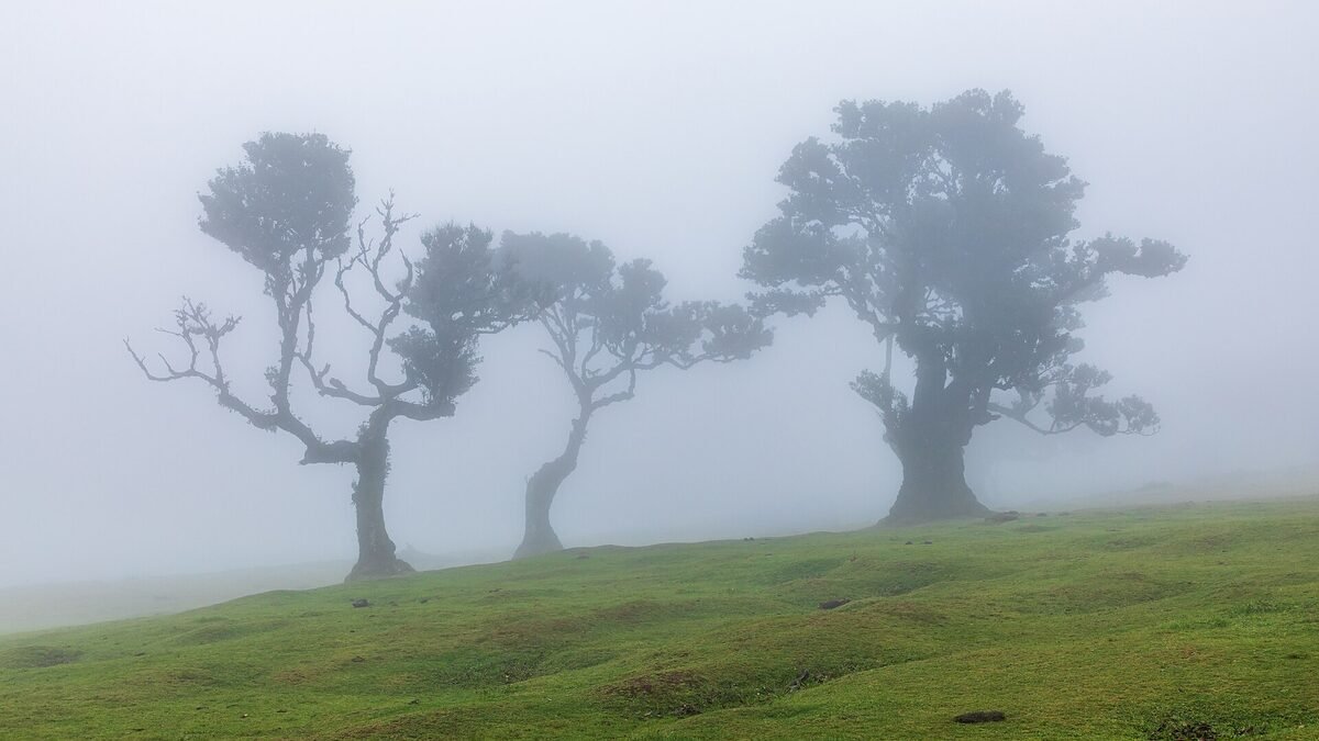 Madeira Island in Portugal