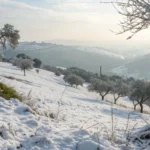 Does It Snow in Portugal? Ultimate Guide to Portuguese Winter Weather