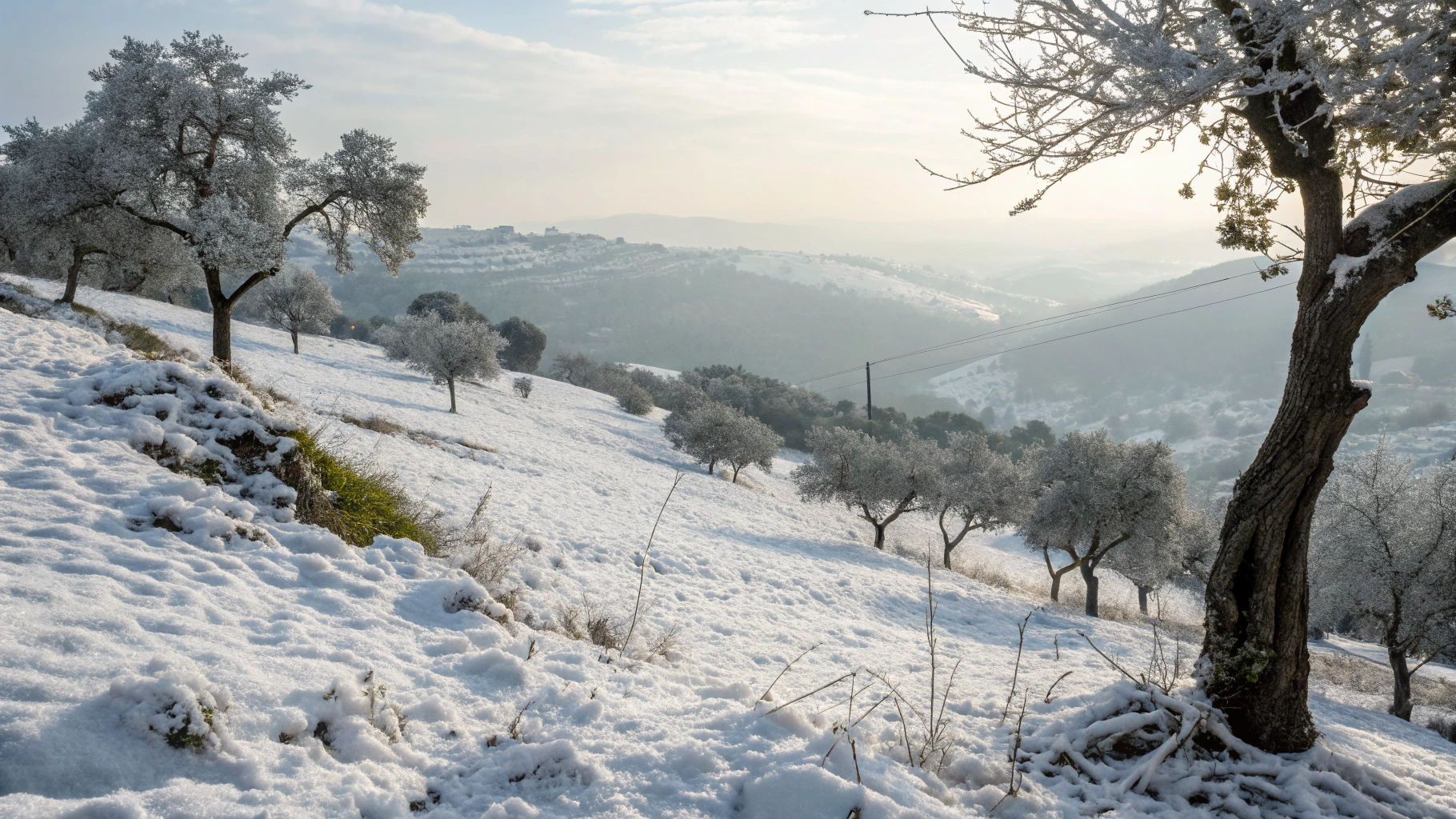 does it snow in portugal