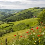 Portugal Countryside: Discover the Authentic Rural Charm Beyond Cities