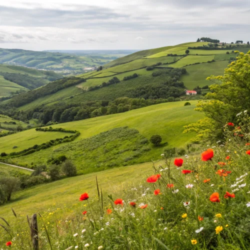 portugal countryside