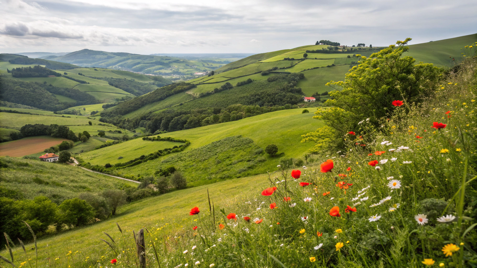 portugal countryside